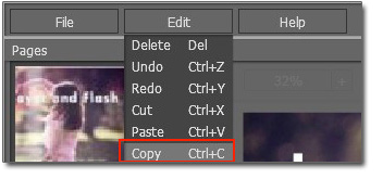 Click the flash and then choose “Edit > Copy”