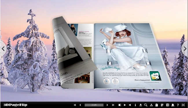 Cold Theme for 3D Page Flip Book