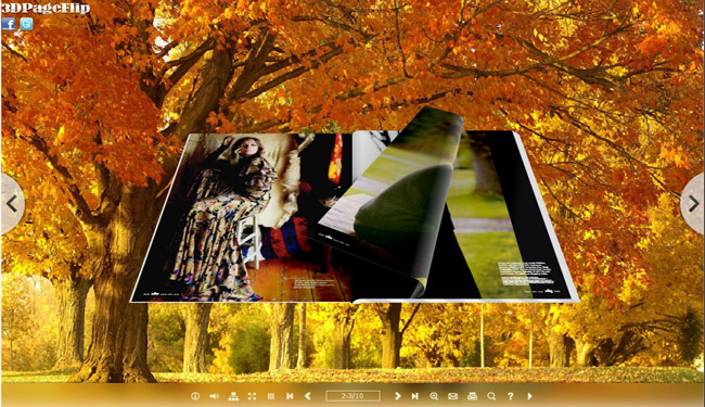 Maplewood Theme for 3d eBook 

