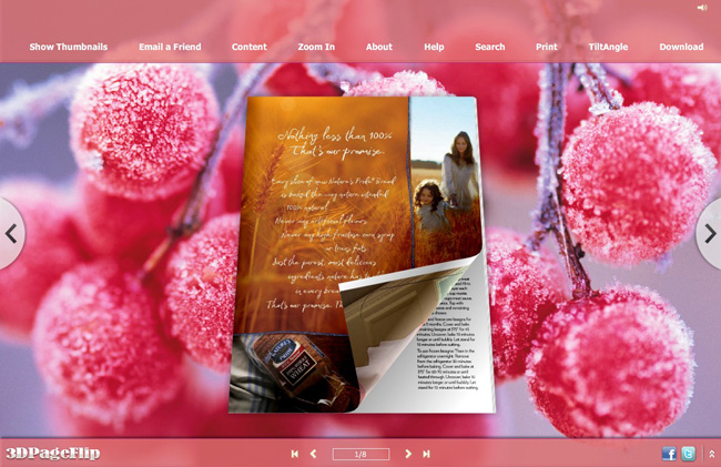 Frost Style Theme for 3D Page Turning Book