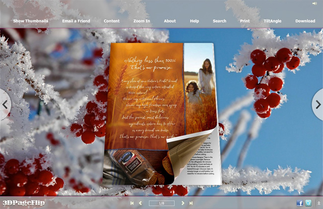 Frost Style Theme for 3D Page Turning Book